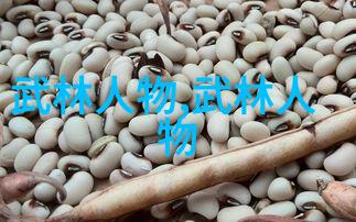 武功秘籍大全拳法技巧与图解研究