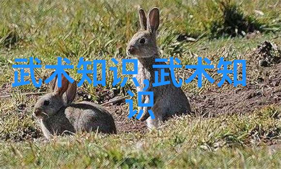 古武训练站桩的重要意义