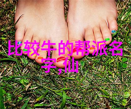 苏家拳好听的公会名字大全门派拳种之冠