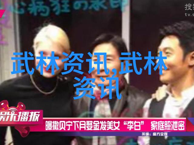中国传统武术门派精髓中华武学文化的丰富多样