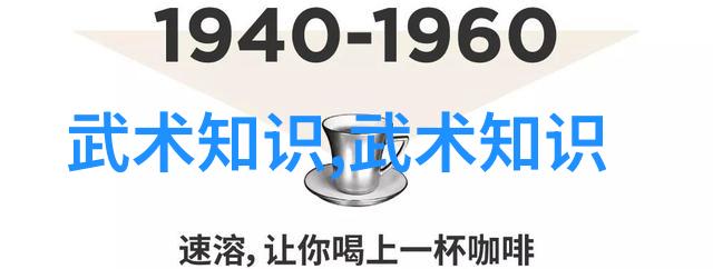 从基础到精通一步步学习第七十四至八十七手太极拳