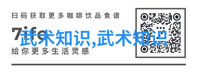 武术基本功网站-精进内力武术基本功网站的智慧与实践