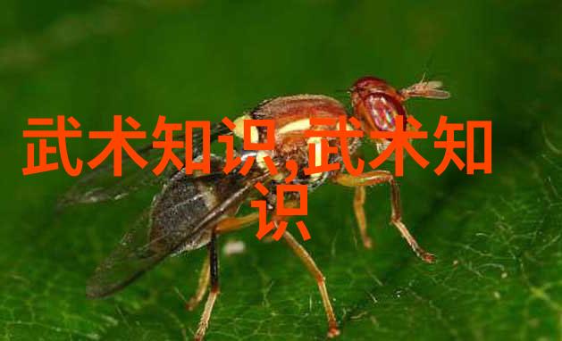 黑料168SU揭秘一款备受关注的智能家居控制器