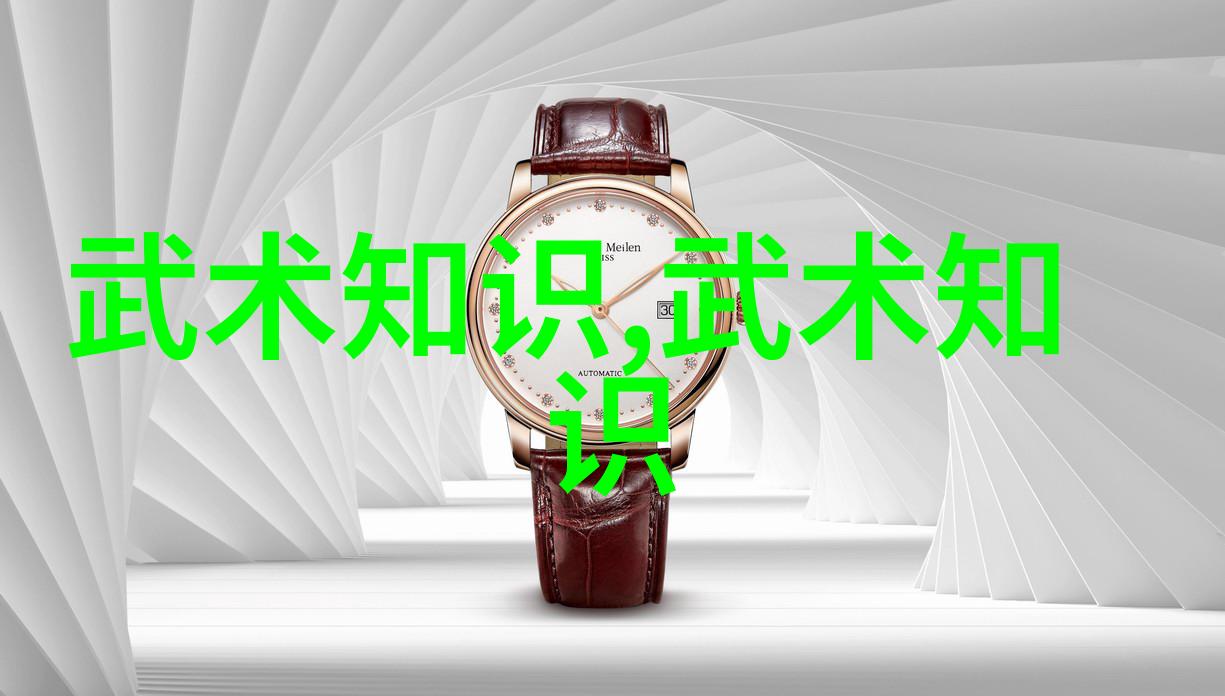 中国武术之韵门派的纹章与风华