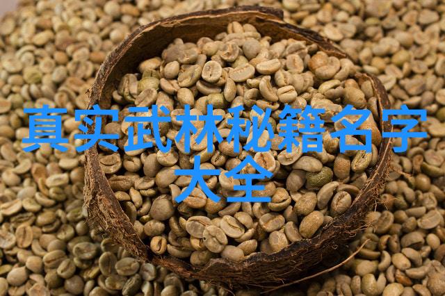 探秘中国最有实战性的功夫揭秘武术内幕