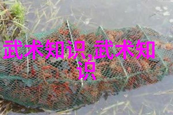 少林武学中的至尊拳法探究剖析空心拳与风雷掌的高深之处