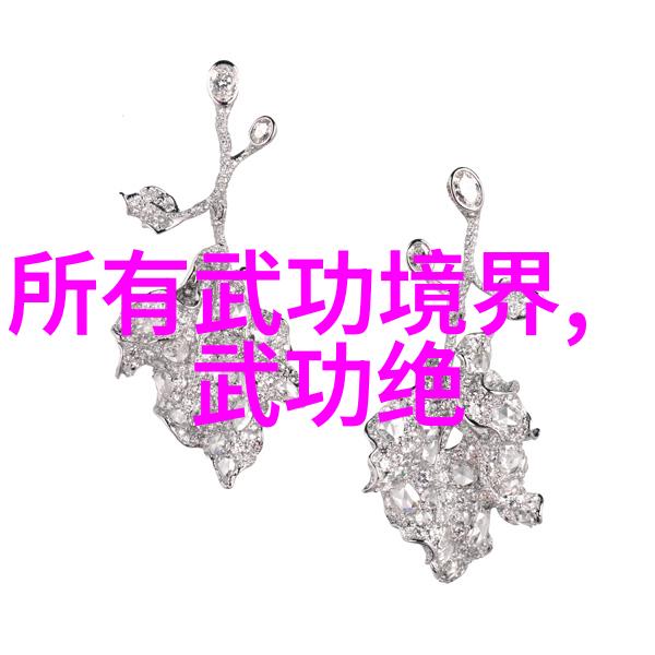 太极拳的套路与拳架武术中的十二道光芒赵艳解析