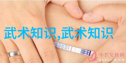 古代武功秘籍排名武林绝学集成
