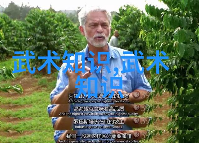 幽灵门拳谱海底飘腿