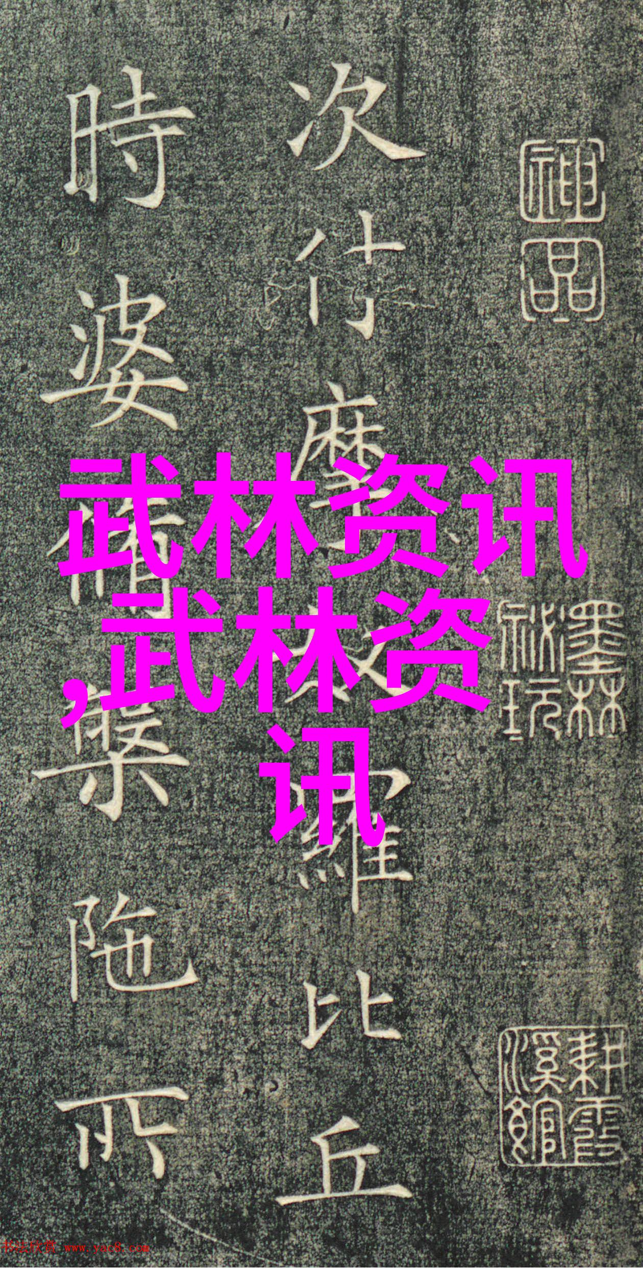 武林风云江湖中传的神秘药方被盗案揭秘