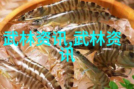 南拳与华拳的辉煌对决谁能占据武林巅峰