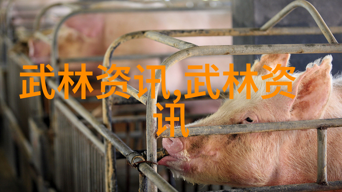 中国武术的千年传承探秘各大流派之美