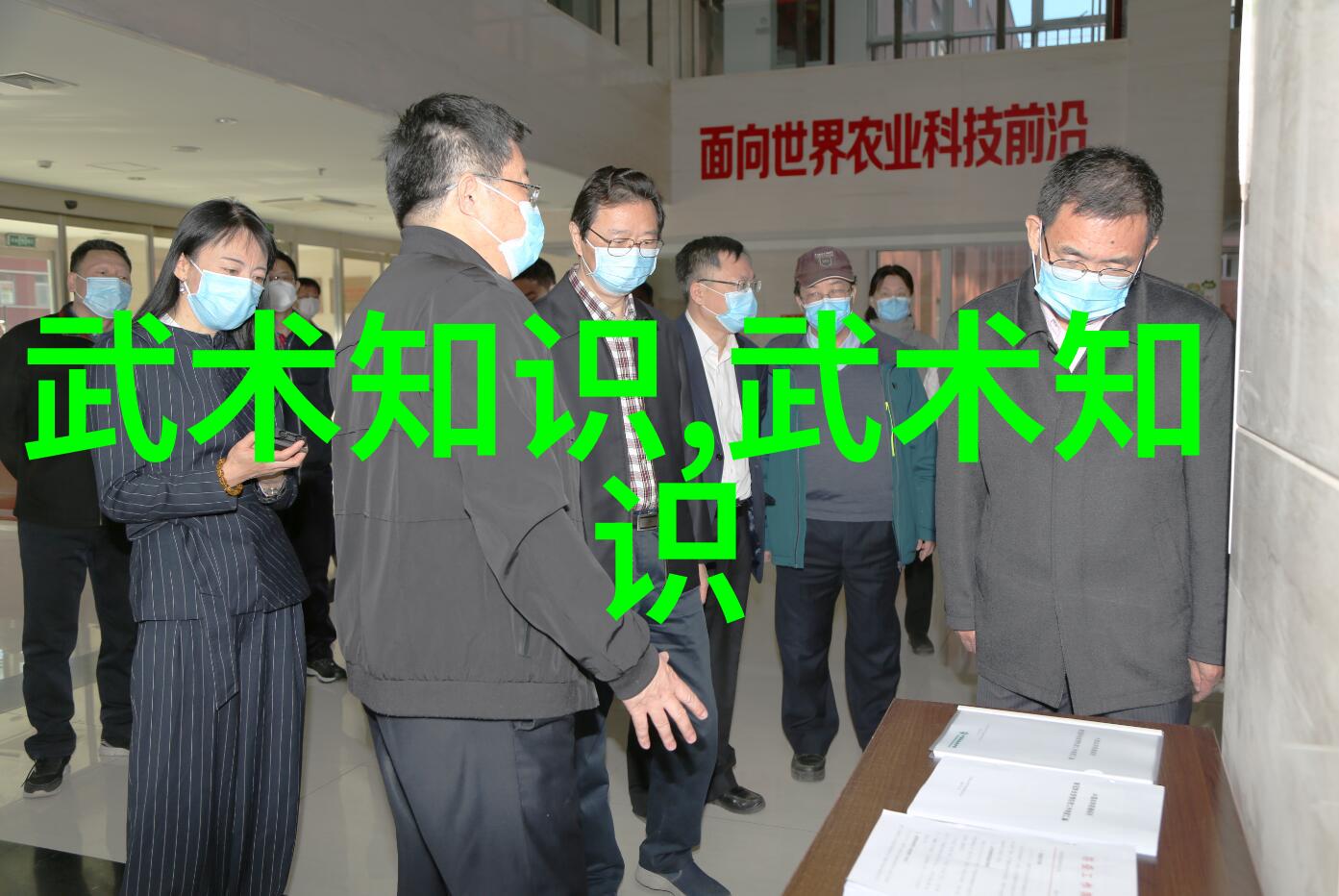 幽冥门腾挪架太极拳谱中最神秘的武学之术