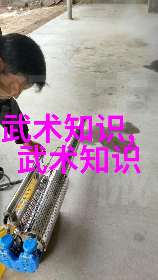 咏春拳法-春风不识愁绪