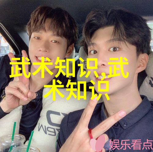 中国武术十大门派-中华武林的巅峰探索中国武术十大门派的独特魅力