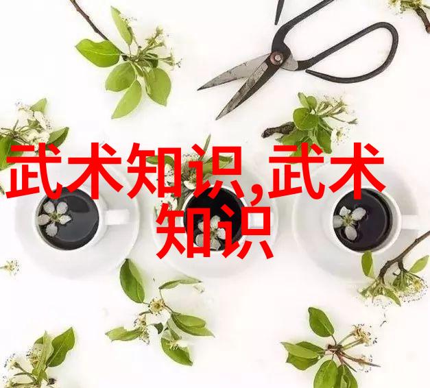 太极武功与科学古风剑法在现代社会的应用
