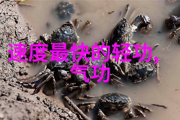 太极在自然中重视炼心与心的锻炼武功秘籍图片展示其深邃之美