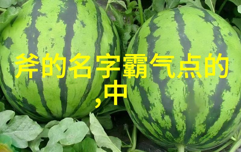 紫府仙缘全文阅读总结探索修仙奇缘与人心深处的光明