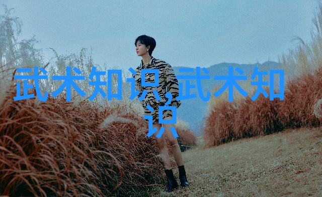 武术训练-打破砖块的秘诀