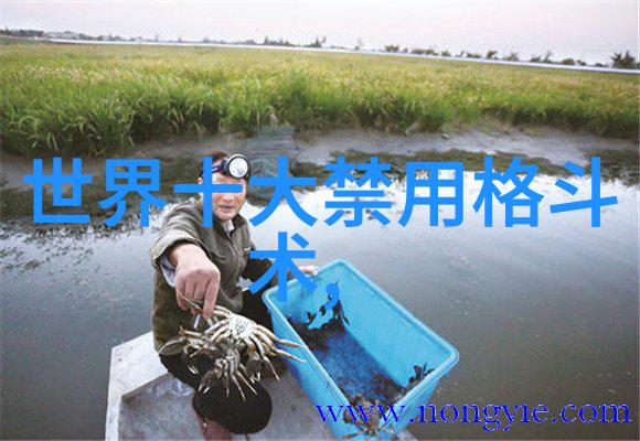家族名佳作探索那些流畅而和谐的好听古风姓氏