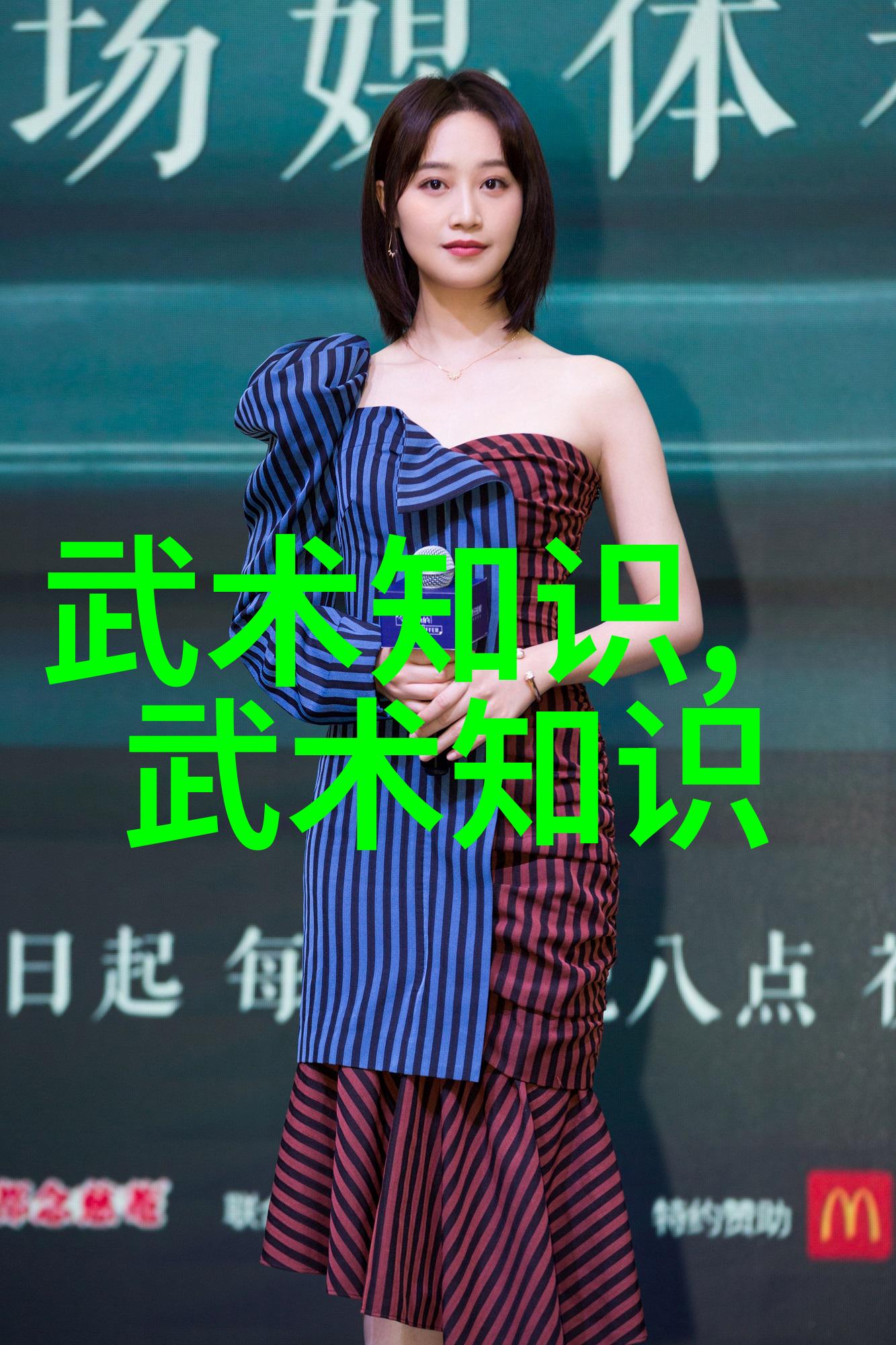 古代武功秘籍口诀-天下武学之精华录