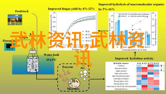 入门拳法我是怎么学到这套打架技巧的