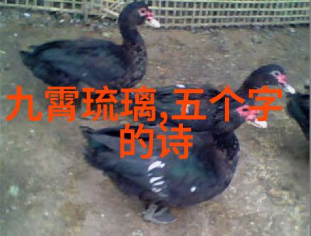 碧空联盟古风诗意下的星辰之盟