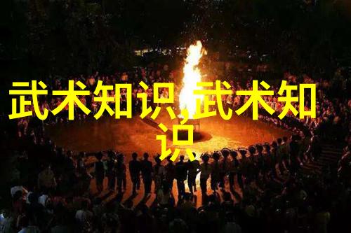 中国武术的神秘之舞拳法的奥秘与魅力