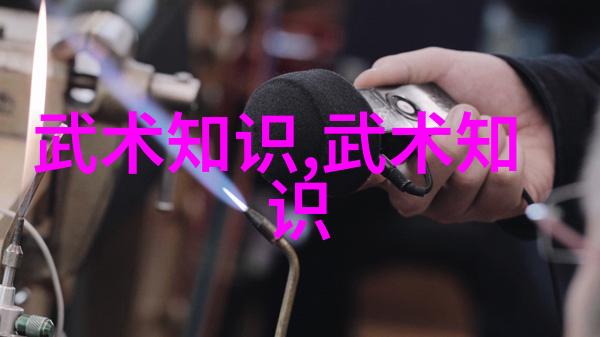 悬疑门派女子儒家拳之谜