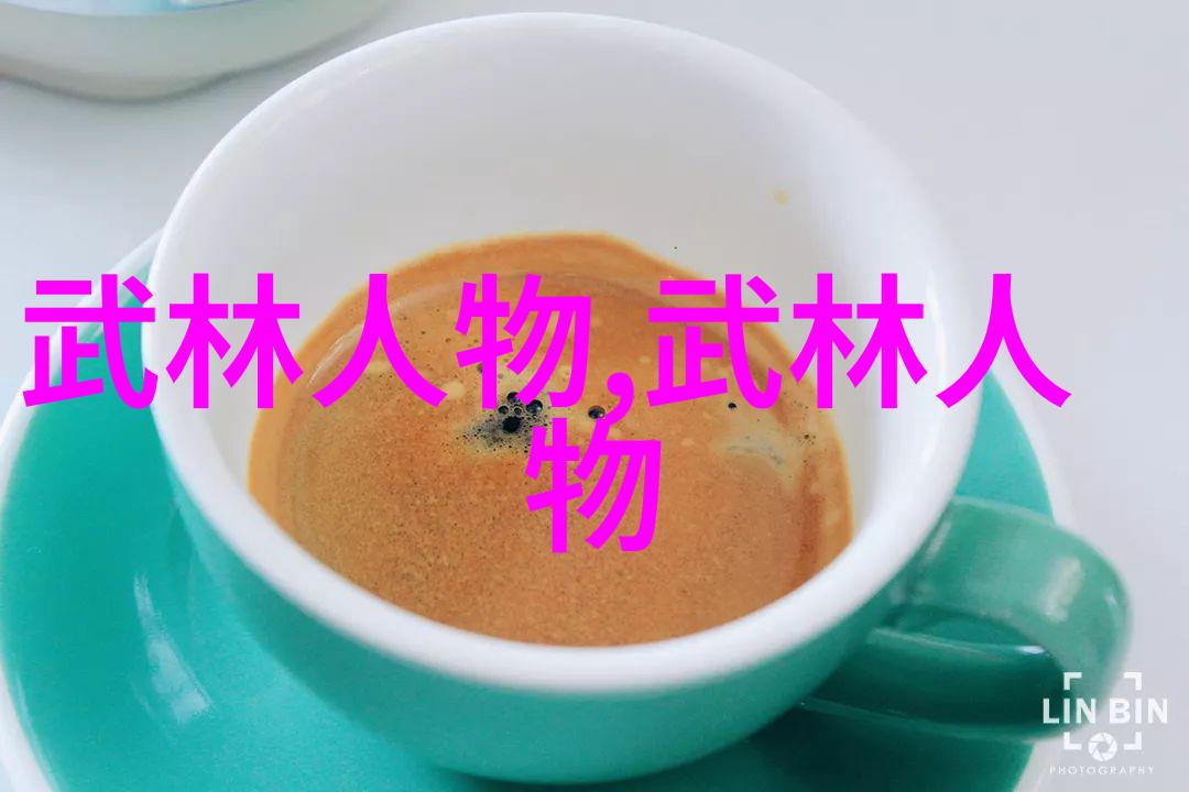 内家外派揭秘中国传统武术拳法的两大体系