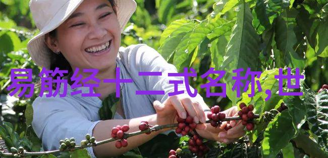 青春舞刀精准选择探索学武术的最佳年龄