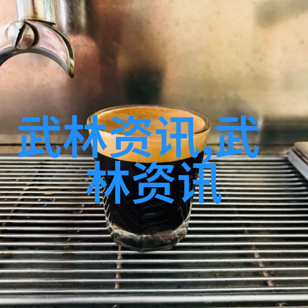 中国十大武术排行榜两仪过气捶门派拳种中的宝贵遗产
