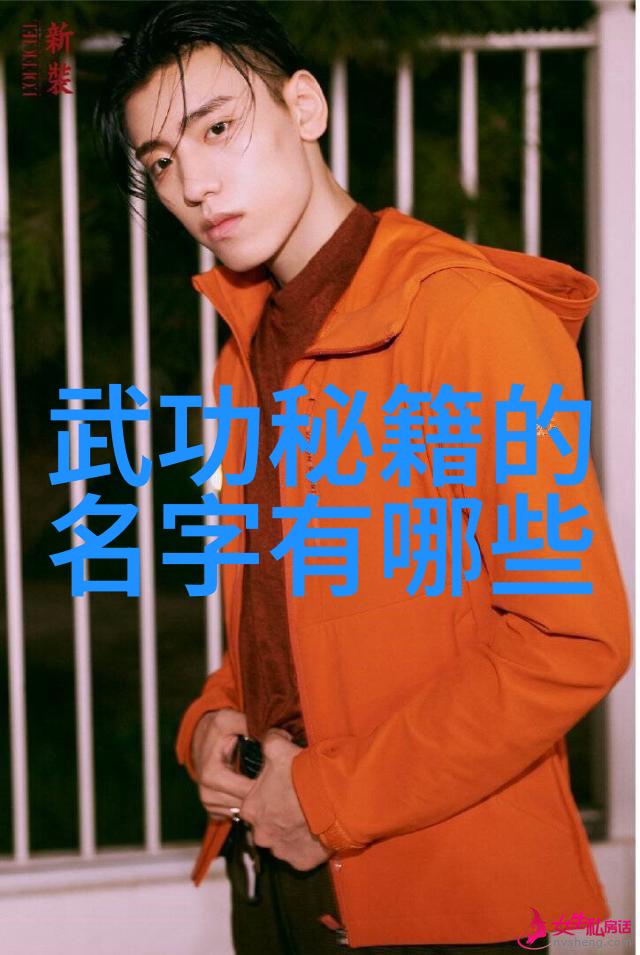 揭秘功夫秘籍如何在家自学武术技巧