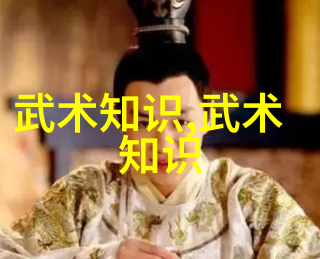 武道境界谱系拳影穿梭九天之巅