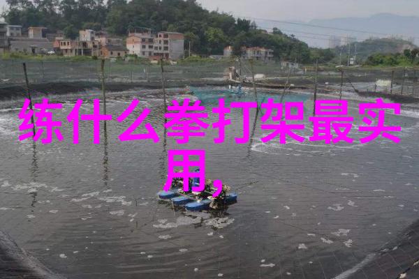 中华武术经典技巧深入解析武术教程