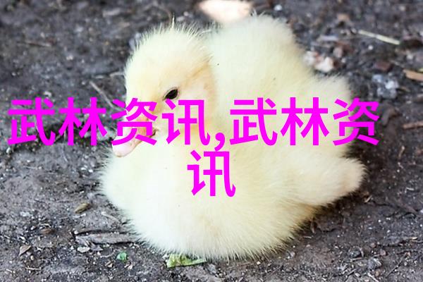 2015年上海市民体育大联赛健身气功站点联赛总决赛落幕