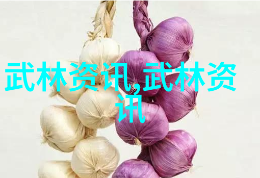 中国武术十大拳法排名古今武林中流传的精华之选
