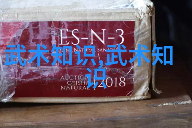 武学秘籍揭秘太极功夫的内在之道
