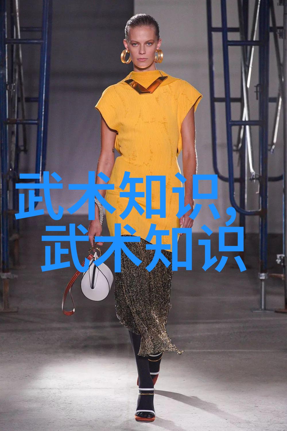 武林秘籍解密揭开少林拳法的神秘面纱