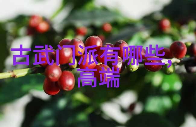 武术活动精彩展开技艺纷呈的盛宴