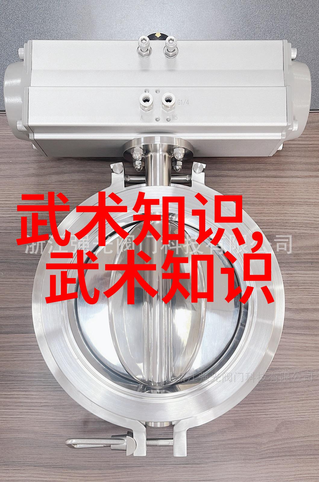 中国武术的精髓揭秘最具实战效力的技巧与训练方法