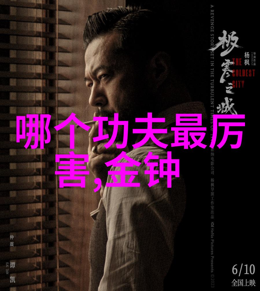 柔韧不屈初学武术套路拳法的奇妙征程
