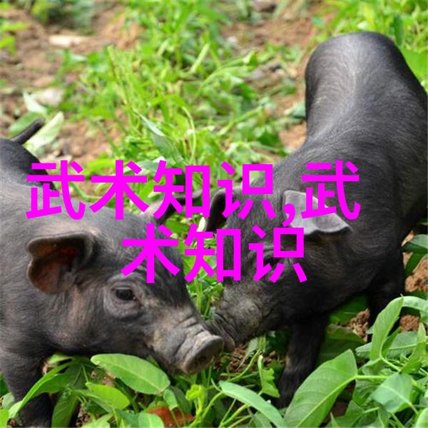 武林秘笈悟道拳法之精髓