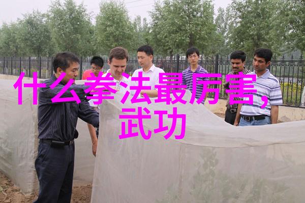 中国武术秘籍书揭秘太极拳的步伐之谜