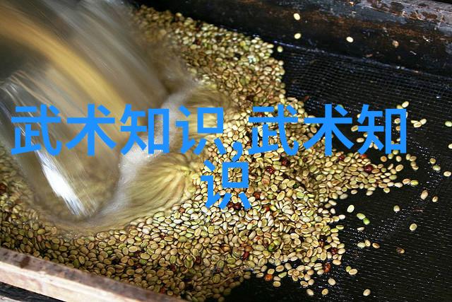 樊少皇权谋与荣耀的双刃剑