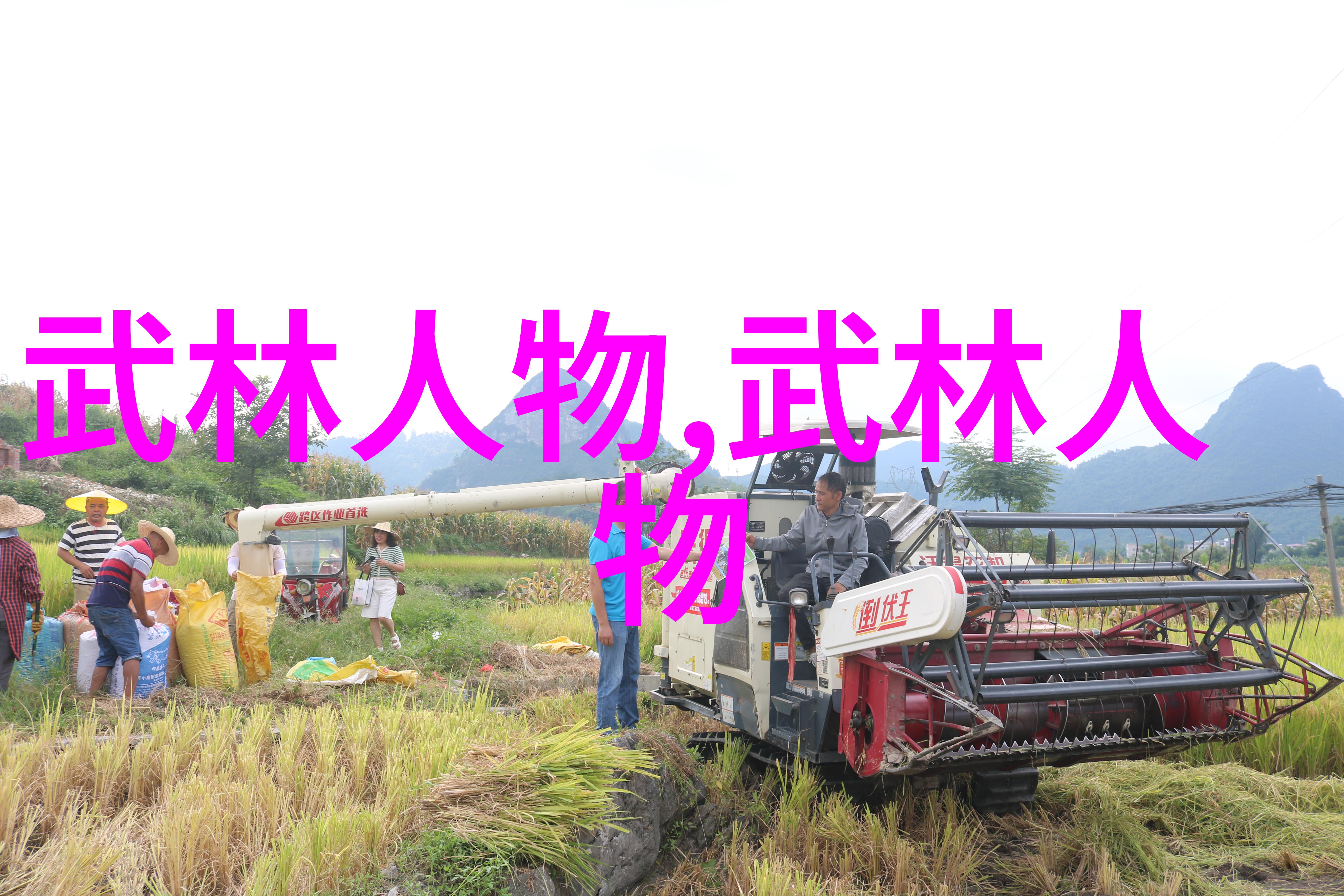 印度武术卡拉里帕亚特之秘响亮霸气的帮派名字在人物身后呼啸而过