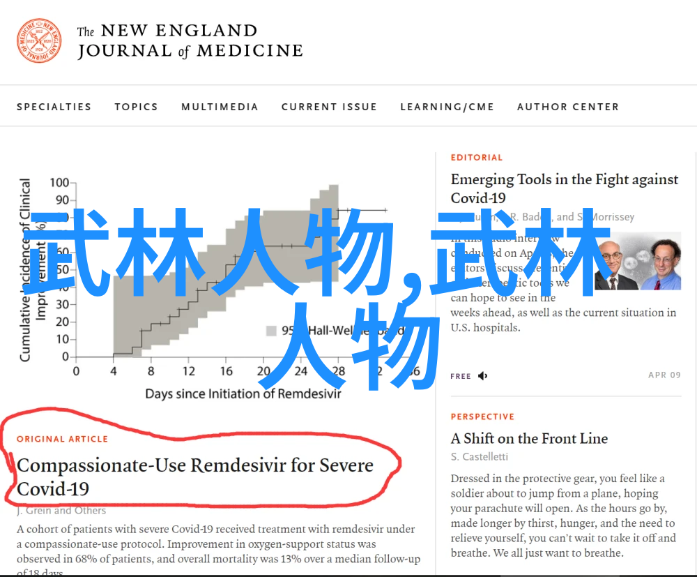 神秘武道秘籍深邃内功与精妙剑法