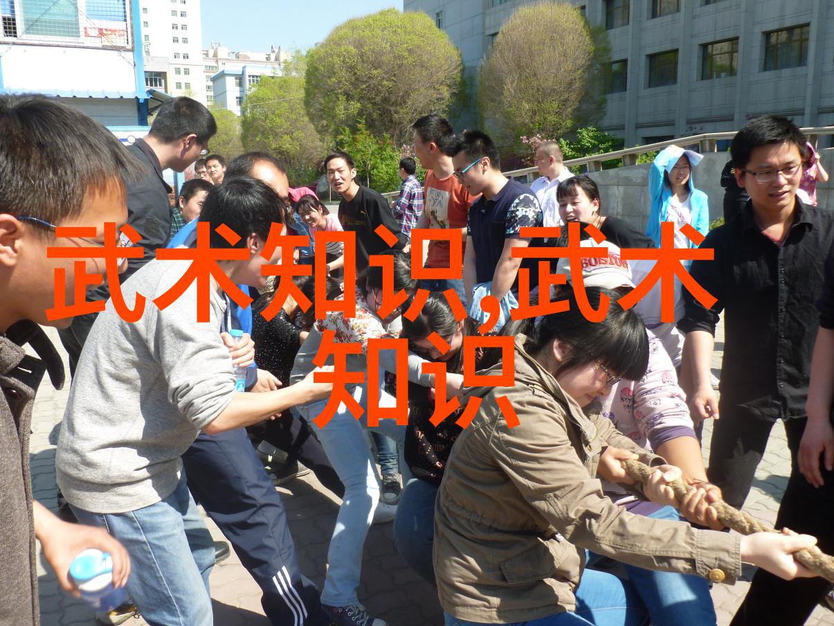 中国功夫中的拳法数据分析太极拳与肘部技巧的玄机深度解析