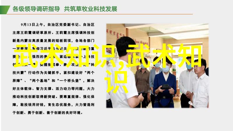 数据驱动简化24式太极拳分解教学-张宝银