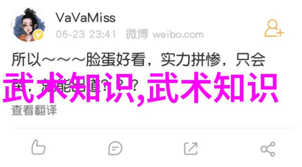 老武术书籍记得我小时候翻的那本少林寺拳谱里面的招式跟我现在练的简直一样